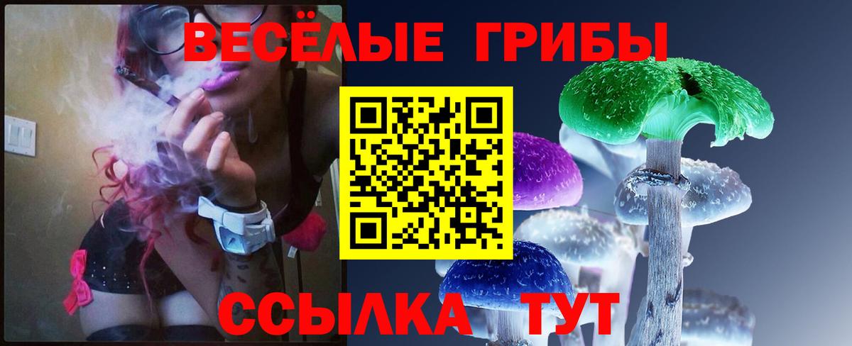 Галлюциногенные грибы GOLDEN TEACHER Строитель